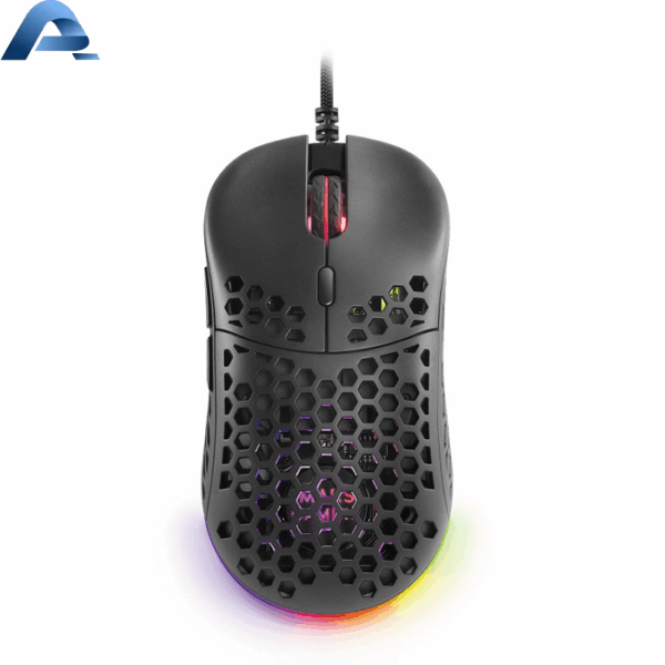 Souris
