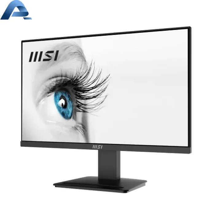 MSI Pro
