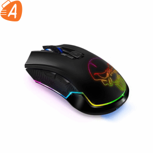 SpiritOfGamer